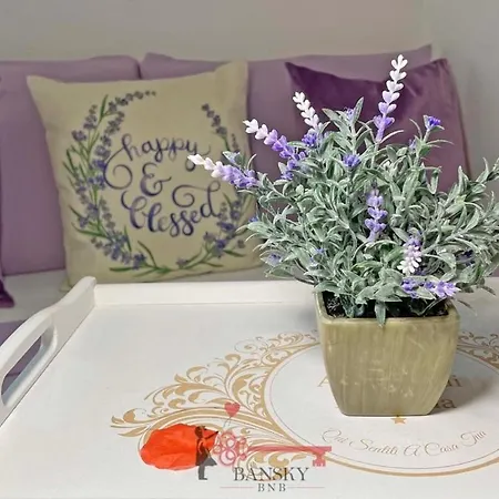 Violet 5 For 4 Guest -by Easylife Swiss Апартаменты Лугано
